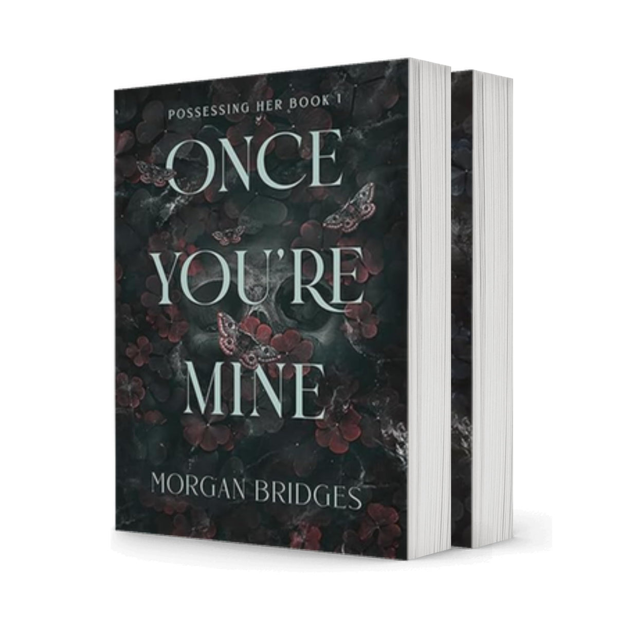 The Possessing Her Series, 2 Book Collection Set, Once You're Mine: A Dark Stalker Romance, Now You're Mine: A Dark Stalker Romance, by Morgan Bridges