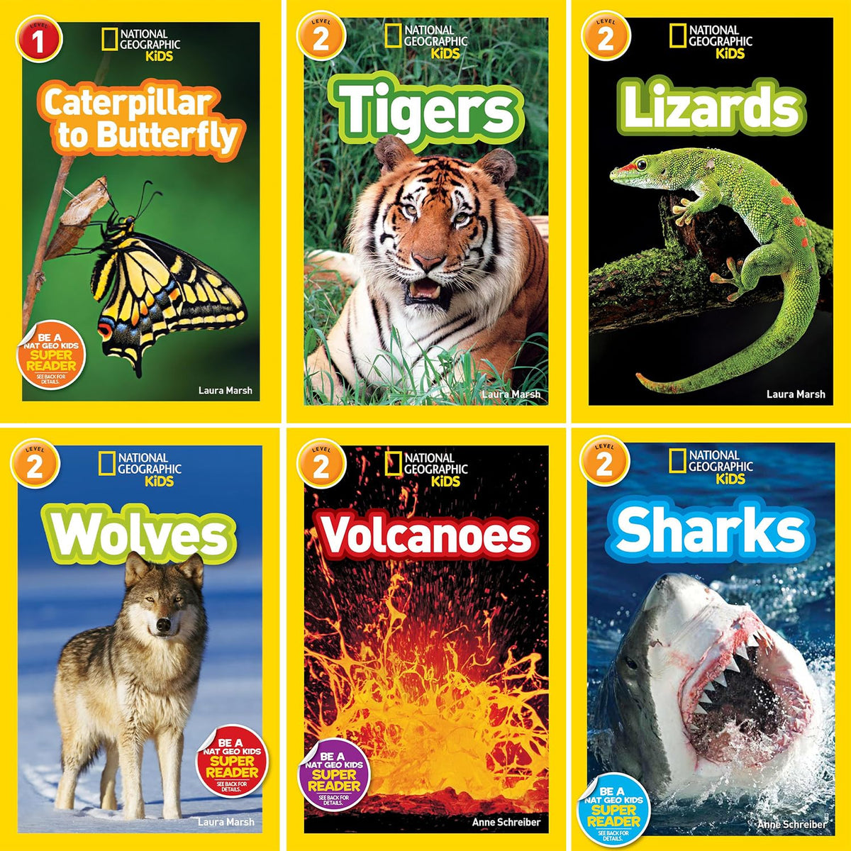 National Geographic Kids Readers, 6 Books Set, Caterpil-lar to Butterfly, Tigers, Lizards, Wolves, Volcanoes, Sharks, Level 1-2