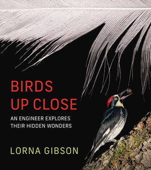 Birds Up Close: An Engineer Explores Their Hidden Wonders