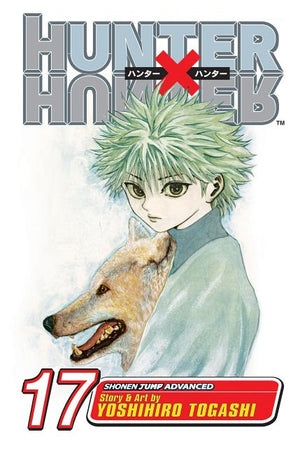 Hunter X Hunter, Vol. 17: A Fierce Three-Way Struggle