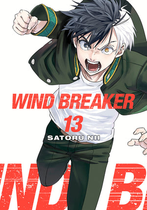 Wind Breaker 13
