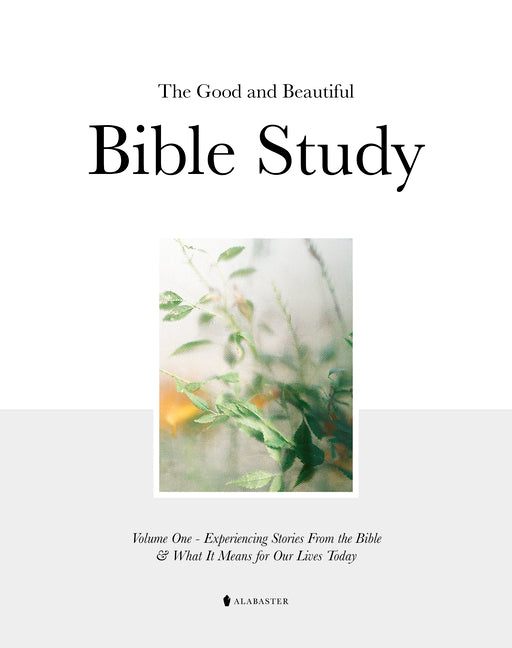 The Good and Beautiful Bible Study Vol 1 (Sc)