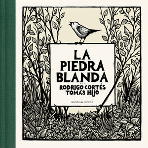 La Piedra Blanda / The Soft Stone